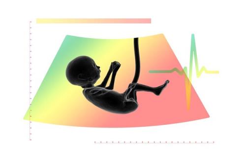 تغییرات در جفت ممکن است سبب ایجاد آسم و آلرژی شود